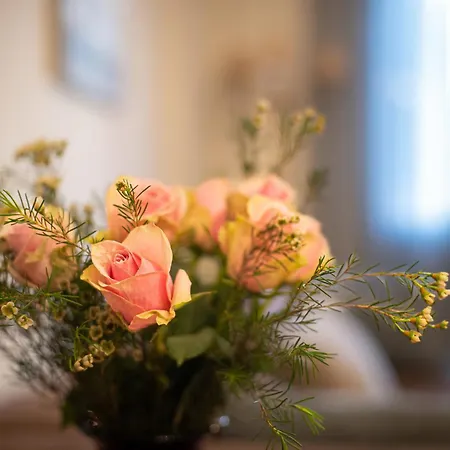 Downtown Stories * Thessalonique